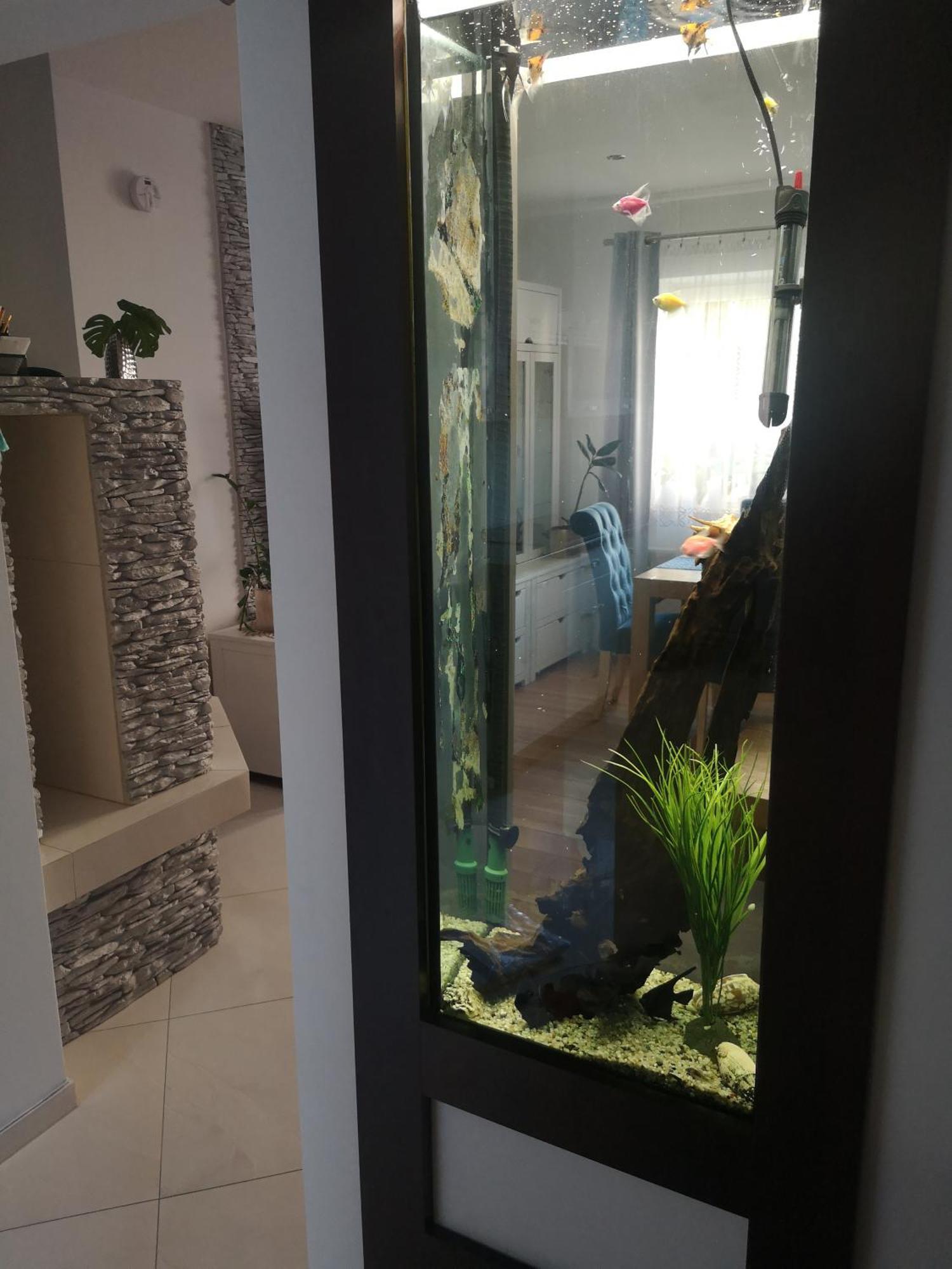 Apartament YesPlease Giżycko Mazury Zewnętrze zdjęcie